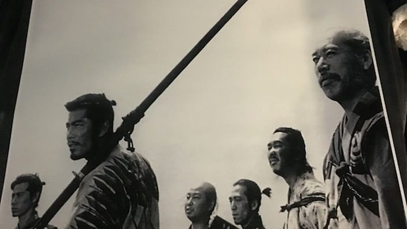 商场绿植租赁，如何选择专业供应商？**