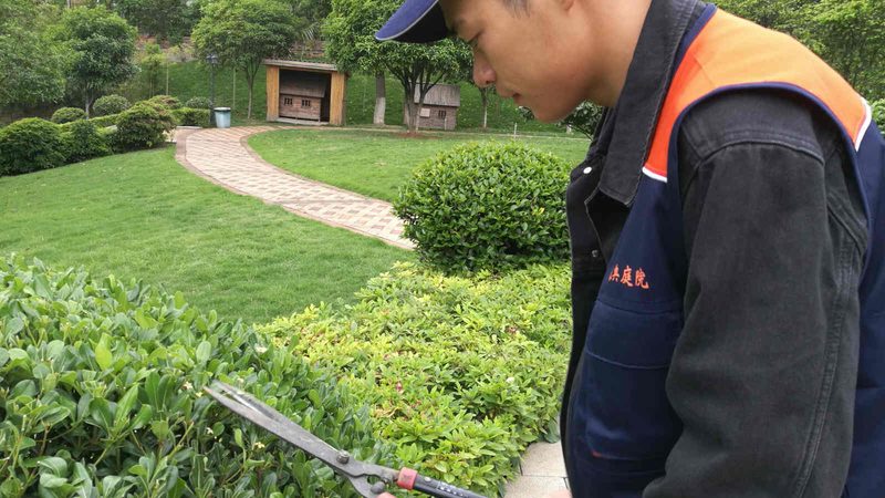 绿化资质代理公司推荐
