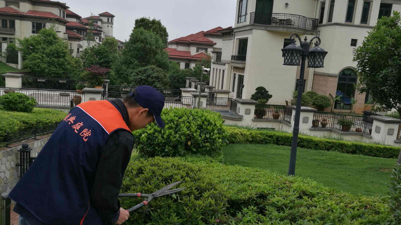 园林绿化工程预算定额表：如何准确评估成本**