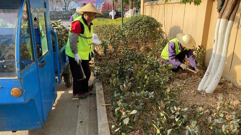 苏州园林公司报价清单：揭秘园林工程成本构成**