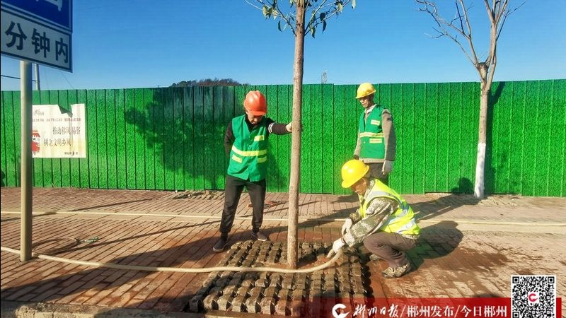 幼儿园草坪铺设费用明细，这些因素你考虑到了吗？**