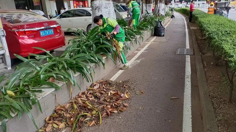 商场花卉租摆，如何定制价格表？**