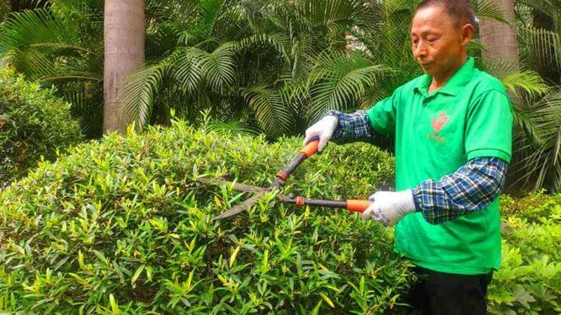 别墅花卉租摆，如何精准报价？**