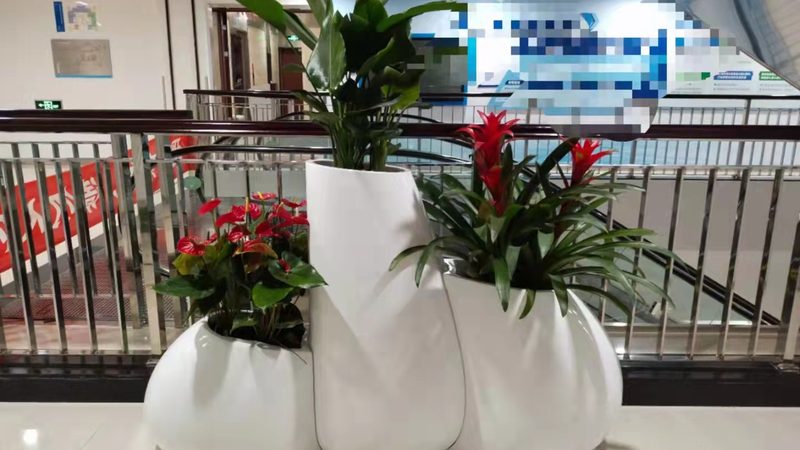 室内垂直绿化植物安装步骤全解析**