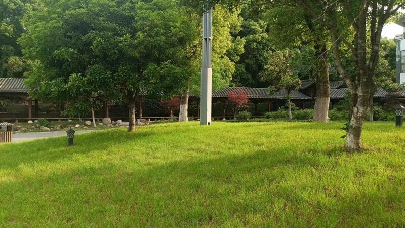 河道边坡绿化，如何选择专业公司？**