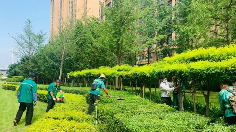 园林绿化工程分包合同签订流程解析